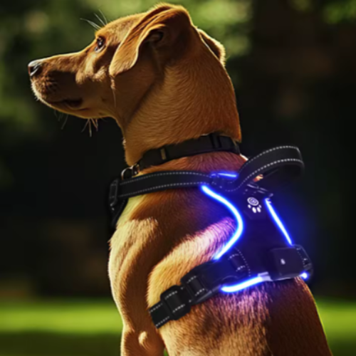 LuxeGlow LED Dog Harness – Elegant Visibility & Comfort for Night Walk