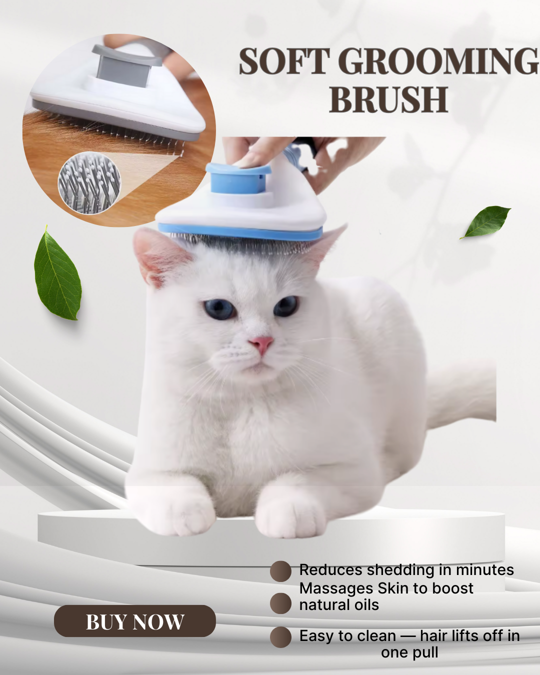 Brush