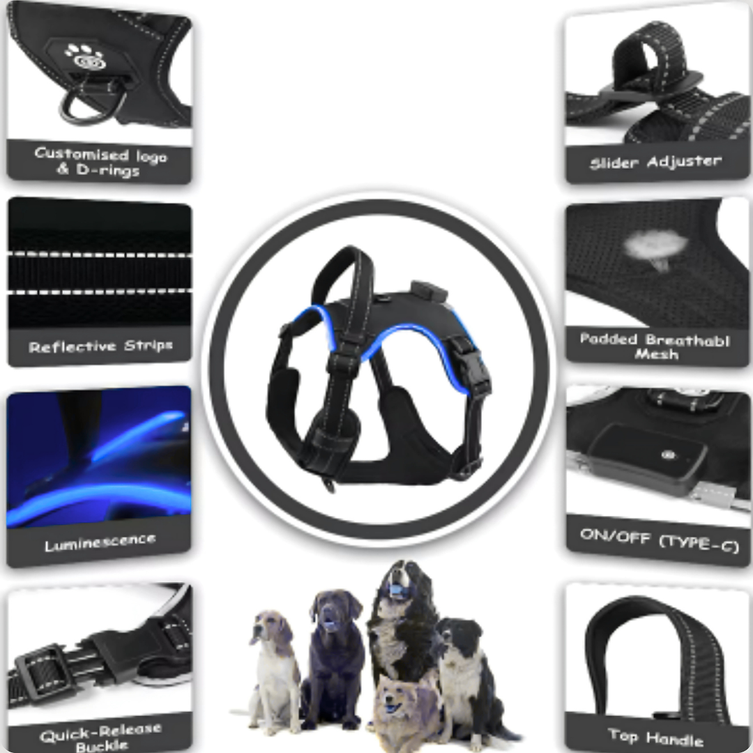 LuxeGlow LED Dog Harness – Elegant Visibility & Comfort for Night Walk