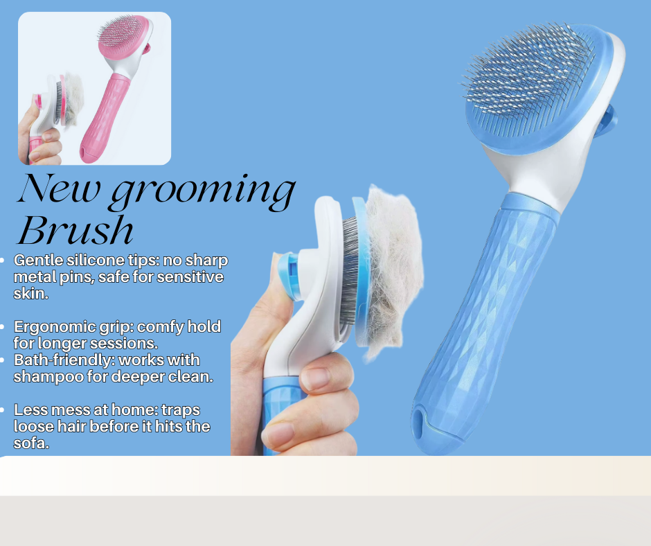 Brush