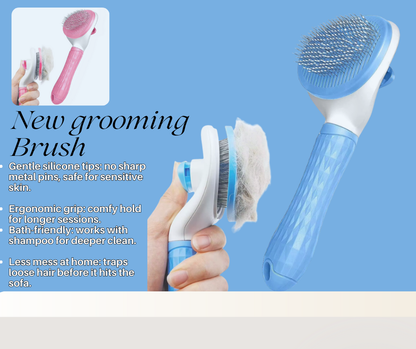 Brush