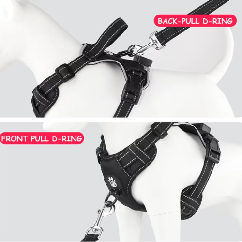 LuxeGlow LED Dog Harness – Elegant Visibility & Comfort for Night Walk