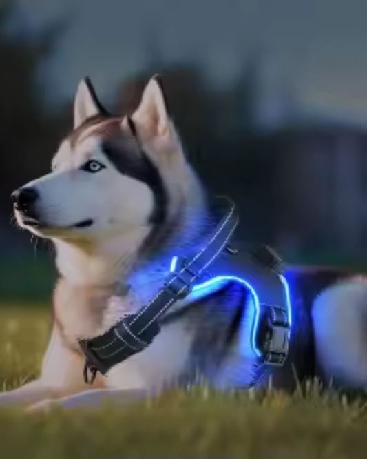 LuxeGlow LED Dog Harness – Elegant Visibility & Comfort for Night Walk