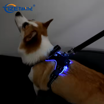 Starlight Stroll Bundle