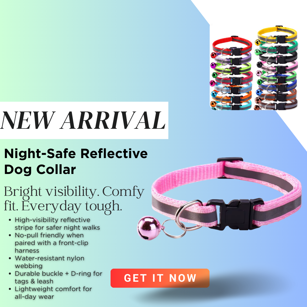 Starlight Stroll Bundle