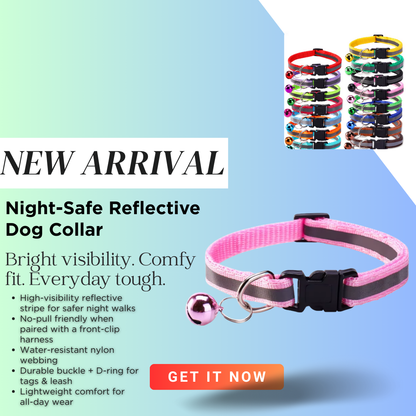 Starlight Stroll Bundle