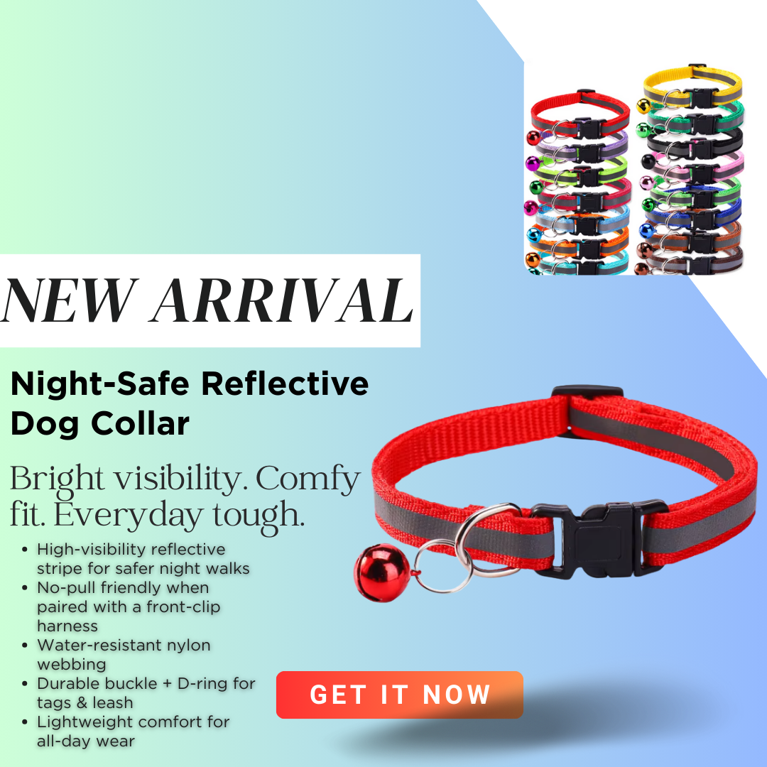 Starlight Stroll Bundle