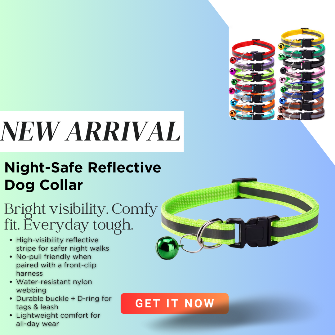 Starlight Stroll Bundle