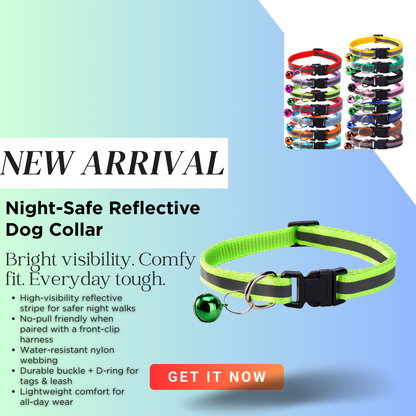 Starlight Stroll Bundle