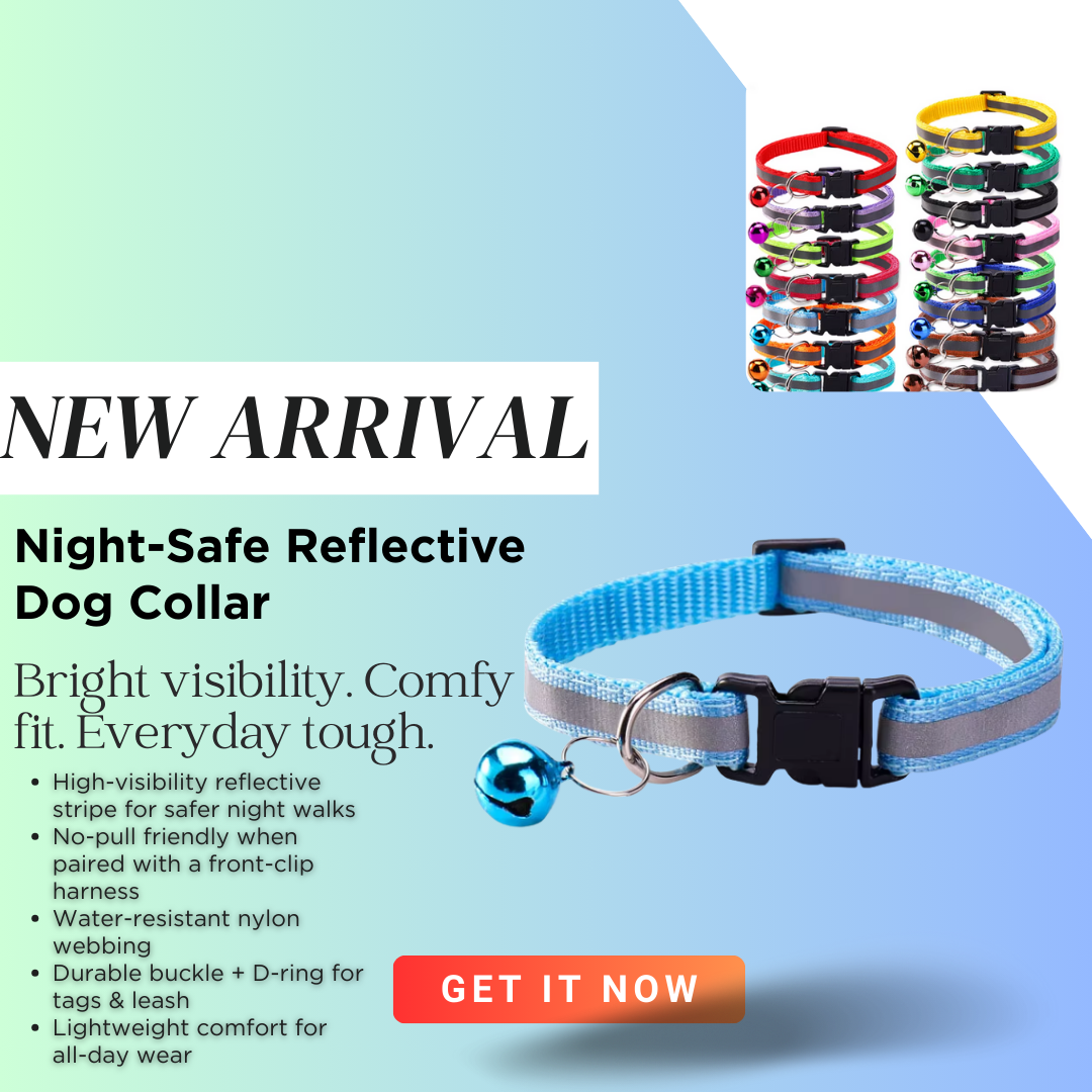 Starlight Stroll Bundle