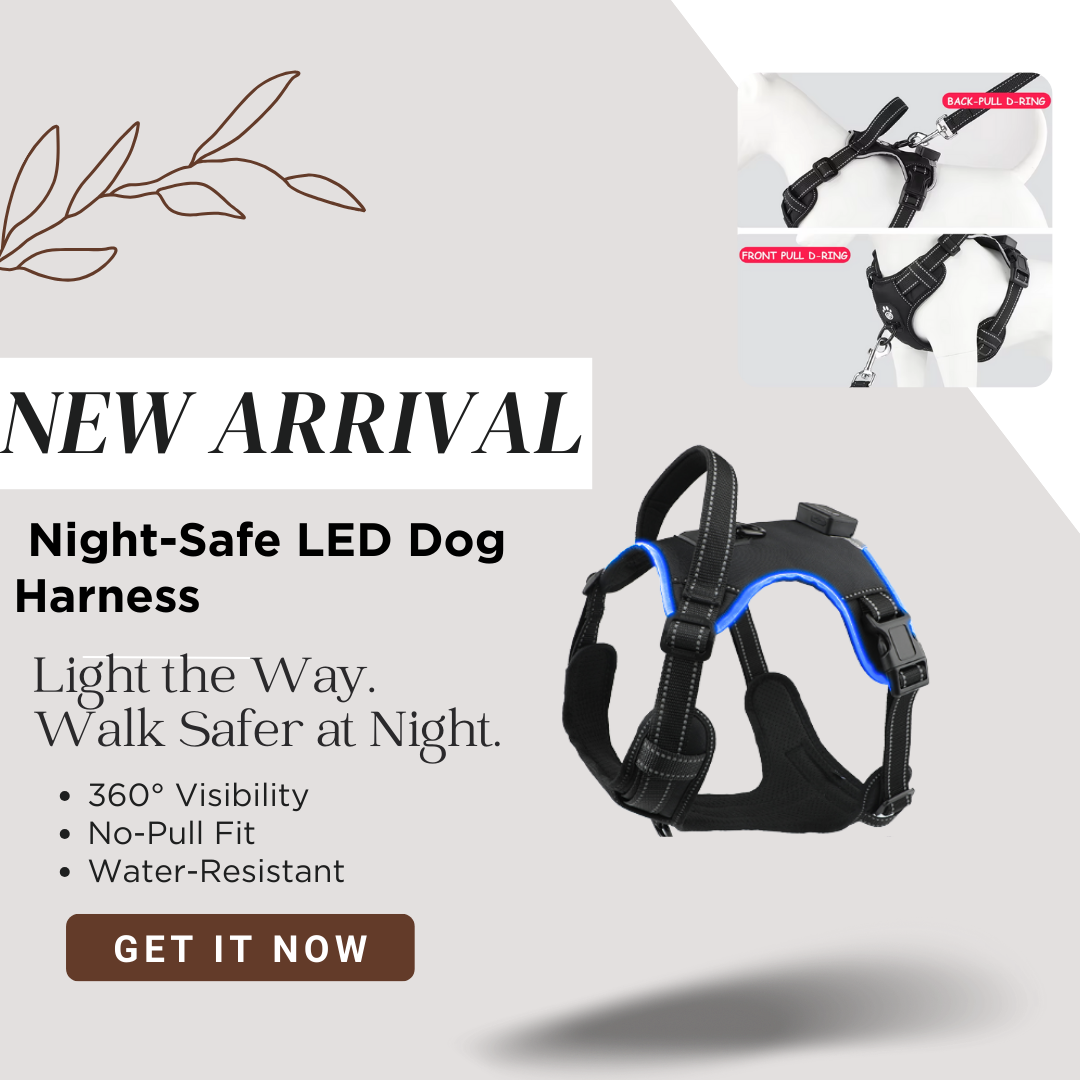 LuxeGlow LED Dog Harness – Elegant Visibility & Comfort for Night Walk