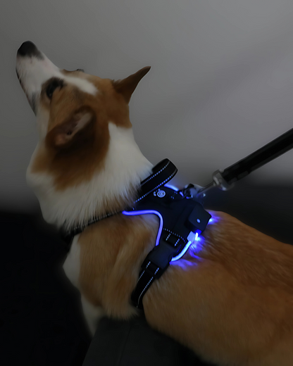 LuxeGlow LED Dog Harness – Elegant Visibility & Comfort for Night Walk